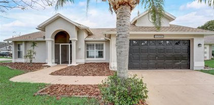 10480 Audie Brook Drive, Spring Hill
