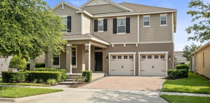 16245 Wind View Lane, Winter Garden