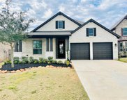 30707 Thicket Court, Fulshear image