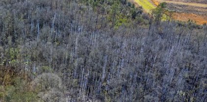 X Pen Williams Road, Defuniak Springs