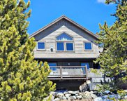 556 Idlewild  Drive, Dillon image