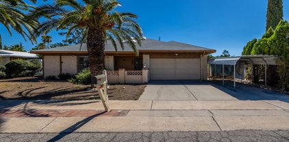 9116 E Palm Tree, Tucson