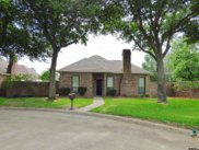 511 Redfearn Court, Mt Pleasant image