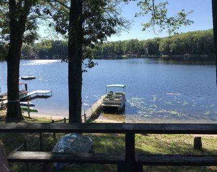 5190 N Bass Lake Road, Irons