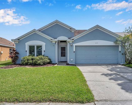 18135 Leafwood Circle, Lutz