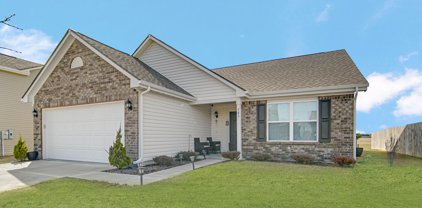 743 Jefferson Park Drive, Pittsboro