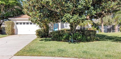 15500 Crystal Creek Court, Clermont