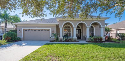 17606 Archland Pass Road, Lutz