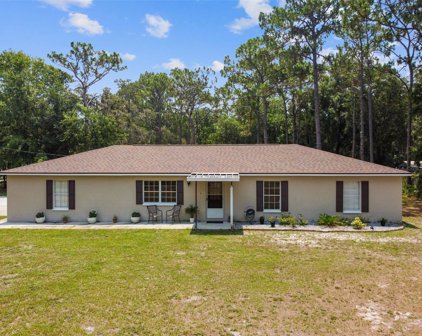 1564 Wildwood Lane, Lutz