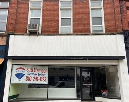 106 S LEROY, Fenton