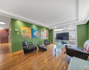 910 Fifth Avenue Unit 210, New Westminster image