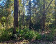 LOT 9 Riverside Cir, Wewahitchka image