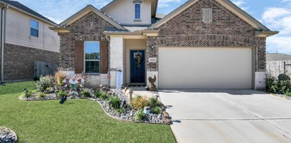 23723 Willow Haven Drive, Spring