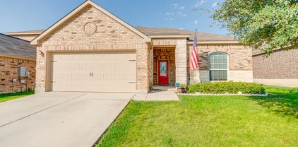 329 Azalea Way, New Braunfels