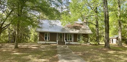 45 Fritz Whitfield Road, Picayune