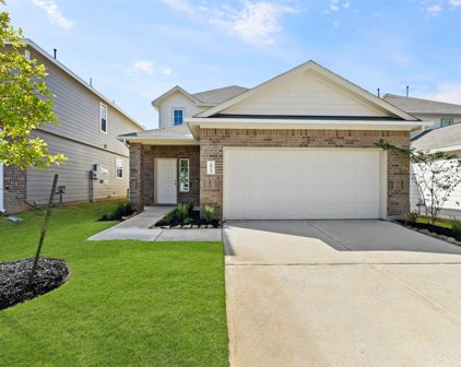 2915 August Mist Court, Conroe