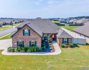 13731 Arbor Ridge, Madison image