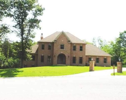 10008 Zimmer, Algonquin