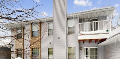 2508 Innsbruck Trail Unit #2508, New Brighton