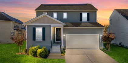 12466 Fallen Timbers Cir, Hagerstown