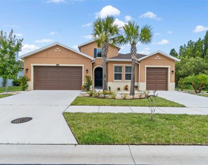 1948 Whitewillow Drive, Wesley Chapel