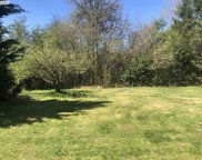 NE 119th AVE, Battle Ground image