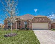 10602 Amador Peak Drive, Rosharon image