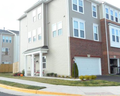 21785 Harroun Ter, Ashburn