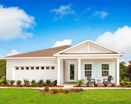 35665 Osprey Perch Lane, Zephyrhills