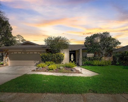 3582 Fairway Forest Drive, Palm Harbor