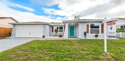 5808 Consuello Drive, Holiday