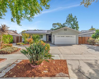 1556 Warbler Avenue, Sunnyvale
