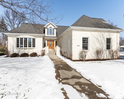 1138 N Carlyle Court, Arlington Heights