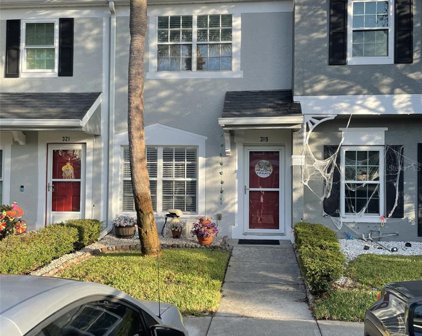 319 Countryside Key Boulevard, Oldsmar