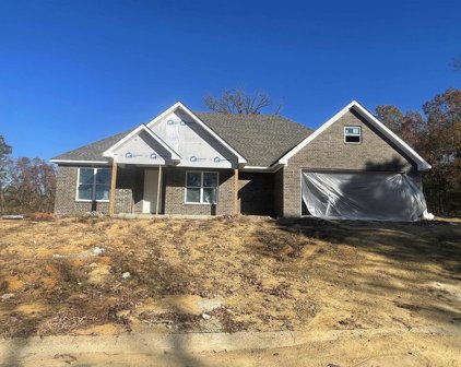 208 SANTA ANNA Drive, Hot Springs