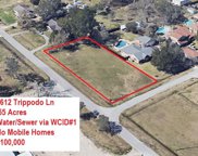 2612 Trippodo, Dickinson image