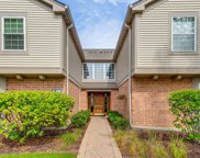 130 Idlewild Court Unit #1, Schaumburg image