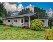 89311 SUTTON LAKE DR, Florence image