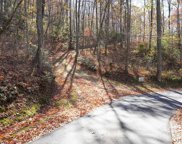 none Silly Ridge Road, Scaly Mountain image