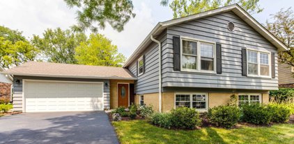 710 W Burr Oak Drive, Arlington Heights