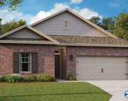 516 Sw Raccoon Way, Hartselle image