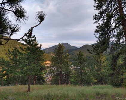 11678 Crescent Park Circle, Golden
