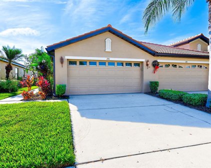 236 Mystic Falls Drive, Apollo Beach
