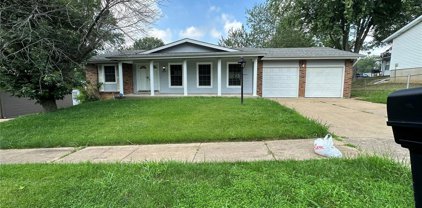 12047 Baresford  Drive, Florissant