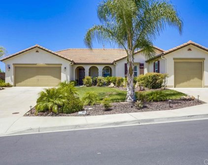 368 Tom Mcguinness Jr Circle, Fallbrook