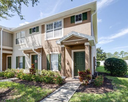 12373 Foxmoor Peak Dr, Riverview