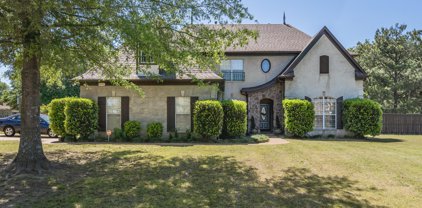 8115 Caitlin Drive, Olive Branch