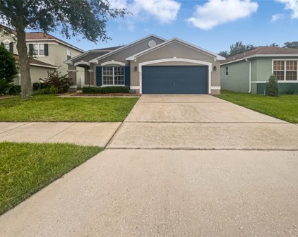 5017 Gandross Lane, Mount Dora