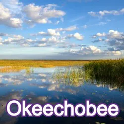 Okeechobee Florida Homes for Sale