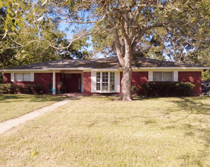 423 Mulberry Lane, Brazoria